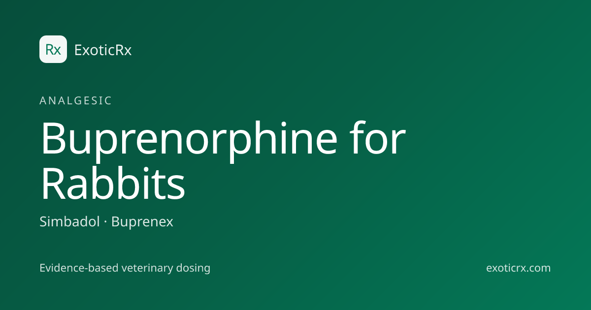 Buprenorphine for Rabbit — Dose, Routes, Citations | ExoticRx
