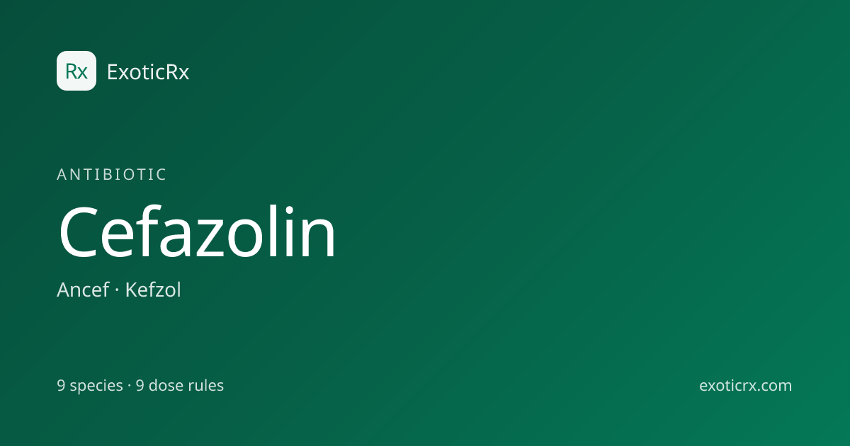 Cefazolin (Ancef, Kefzol) Dosage for Mice | ExoticRx