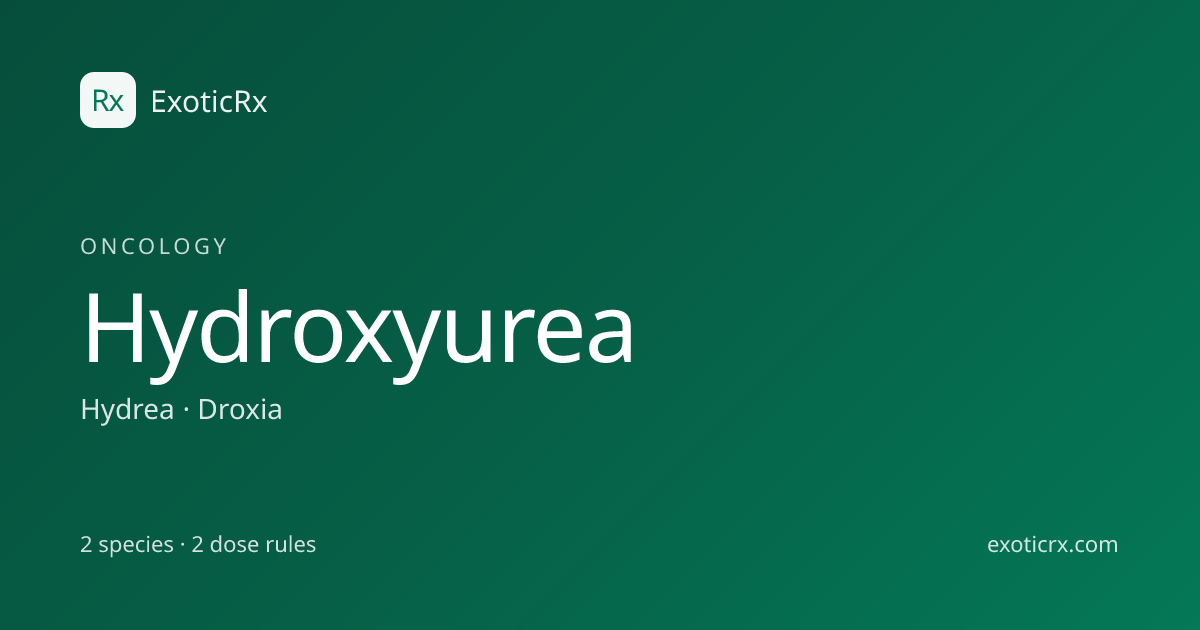 Hydroxyurea (Hydrea, Droxia) Dosage for Cats | ExoticRx