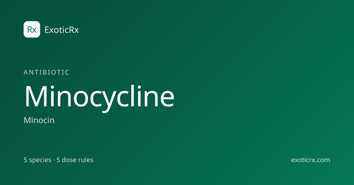 Minocycline (Minocin) Dosage for Cats, Dogs | ExoticRx